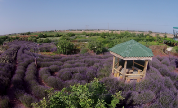 CyHerbia Botanical Park & Labyrinth