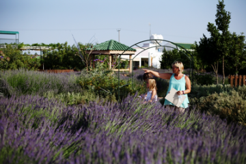 CyHerbia Botanical Park & Labyrinth