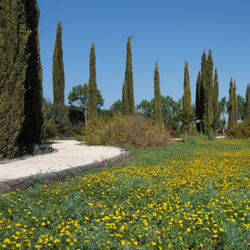 CyHerbia Botanical Park & Labyrinth