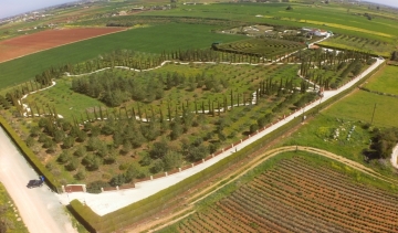 CyHerbia Botanical Park & Labyrinth - Τουριστικός Οδηγός - Αυγόρου, Κύπρος